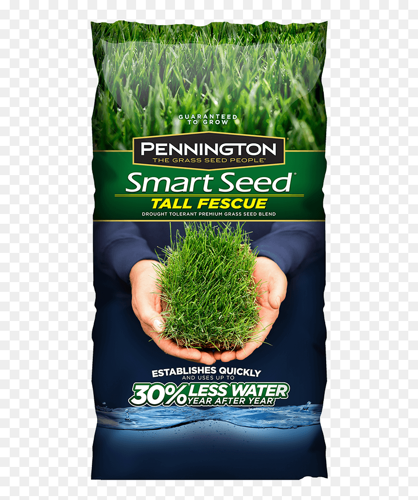Pennington Grass Seed, HD Png Download - tall grass png