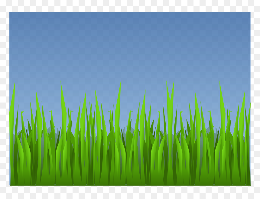 Grass Clip Art, HD Png Download - tall grass png