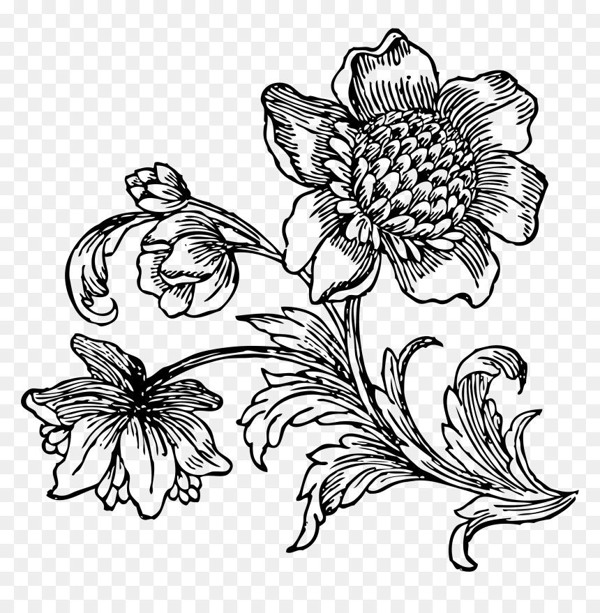 Big At Getdrawings, HD Png Download - black and white flowers png