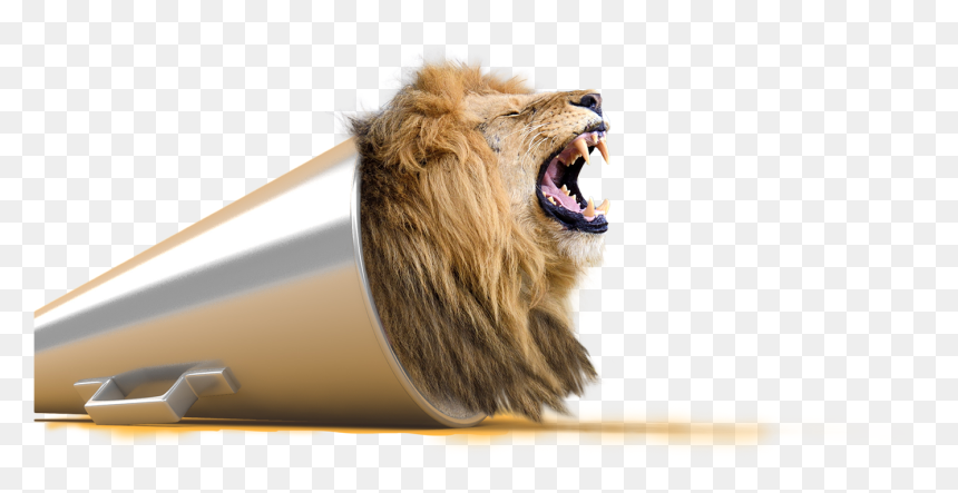 Lion Png The Best Presentations Visual Learning Center - Yellow Marketing, Transparent Png - lion roaring png