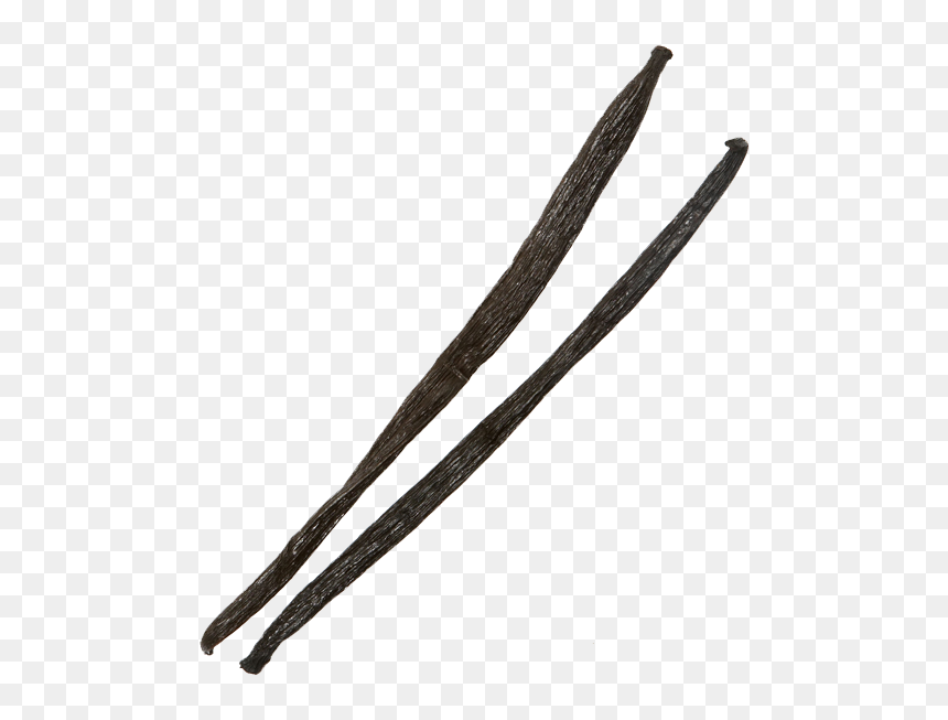 Vanilla Bean Png Transparent Image - Transparent Background Vanilla Bean Png, Png Download - vanilla flower png