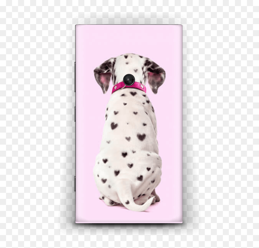 Dalmatian Love Skin Nokia Lumia - Paul Fuentes, HD Png Download - dalmatian png