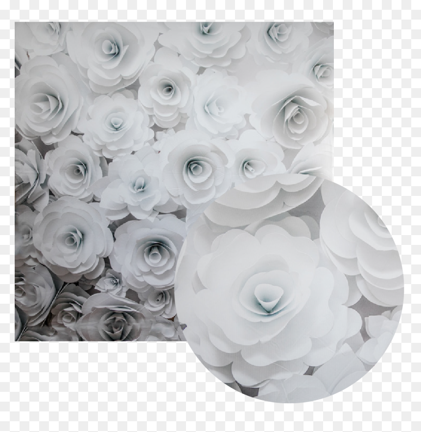 3d White Floral Backdrop, HD Png Download - gold bokeh png