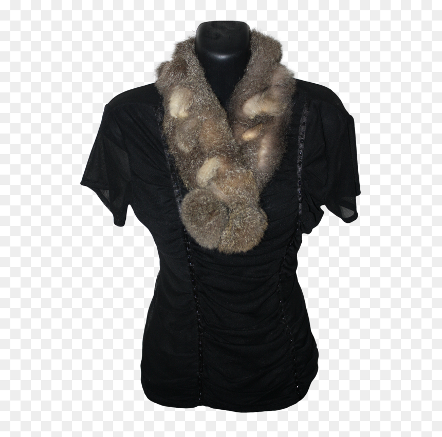 Transparent Opossum Png - Scarf, Png Download - opossum png