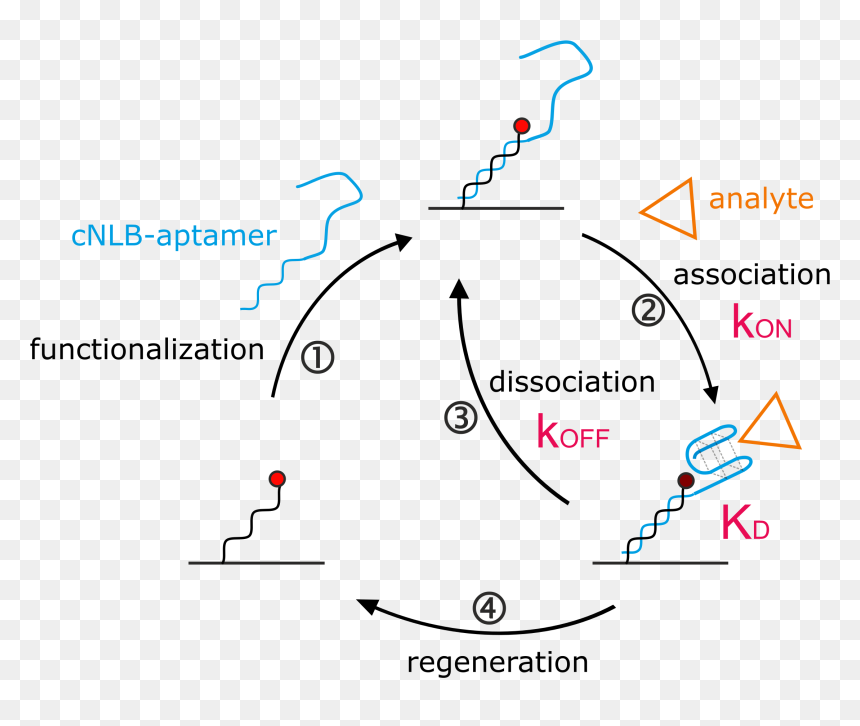 Diagram, HD Png Download - molecules png