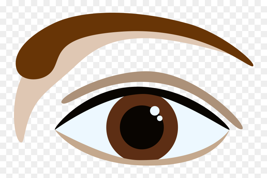 L-shaped Brow - Eyebrow, HD Png Download - brown eye png