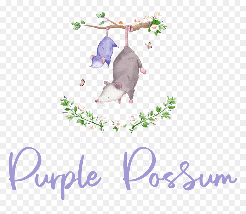 Marine Mammal, HD Png Download - opossum png