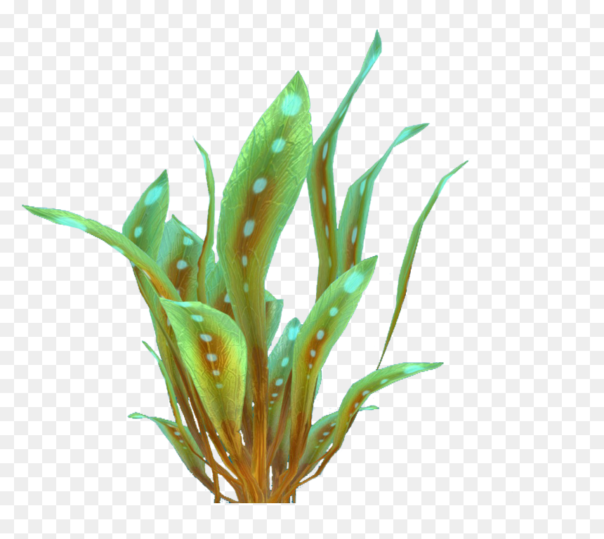 Green Reeds Flora - Subnautica Trees Png, Transparent Png - reeds png