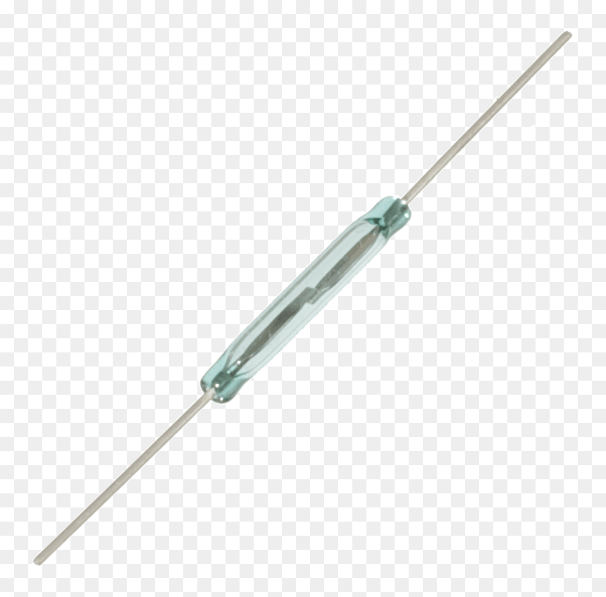 Sensor Magnetico Reed Switch, HD Png Download - reeds png
