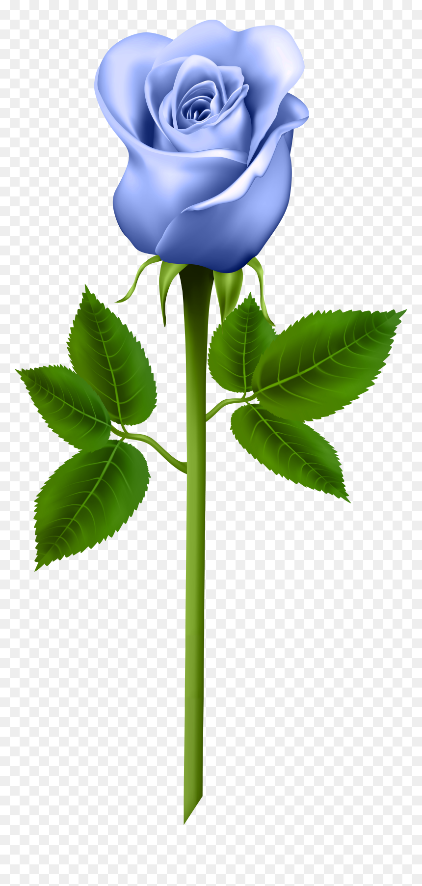 Purple Rose Clipart , Png Download - Transparent Background Purple Rose Clipart, Png Download - morning png