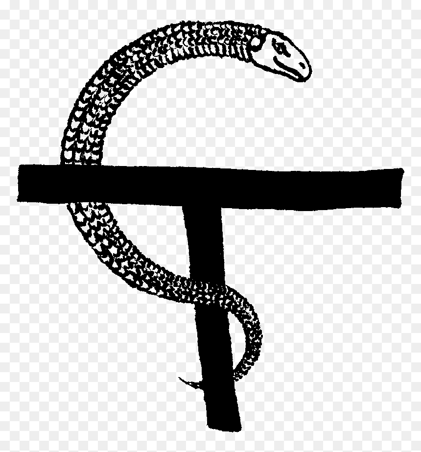 A Servant Of The Author, HD Png Download - noose.png
