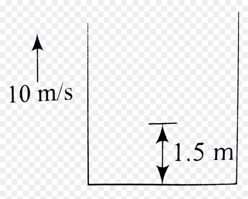 Diagram, HD Png Download - vertical black line png