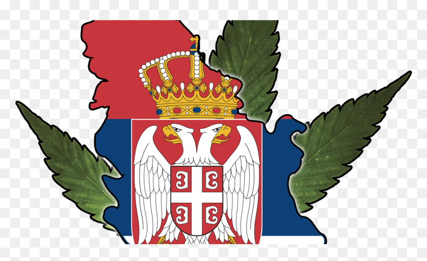 Michigan Medical Marijuana Report - Serbian Duolingo, HD Png Download - medical marijuana png