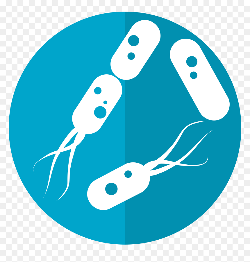 Bacteria Png - Bacterias Png, Transparent Png - germs png