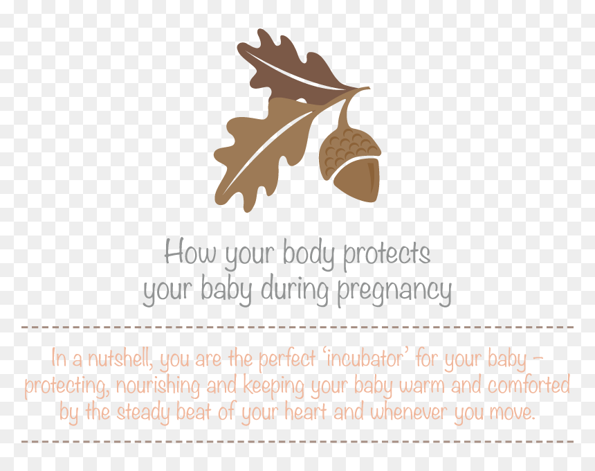 Transparent Baby In Womb Png - Let My Soul Smile Through My Heart At I May Scatter, Png Download - germs png