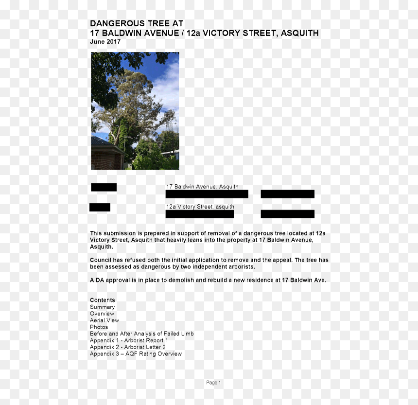 Pdf Creator - Tree, HD Png Download - aerial tree png