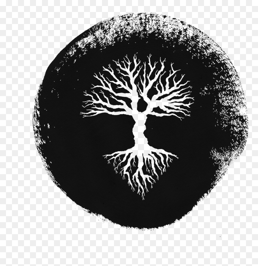 Circle, HD Png Download - aerial tree png