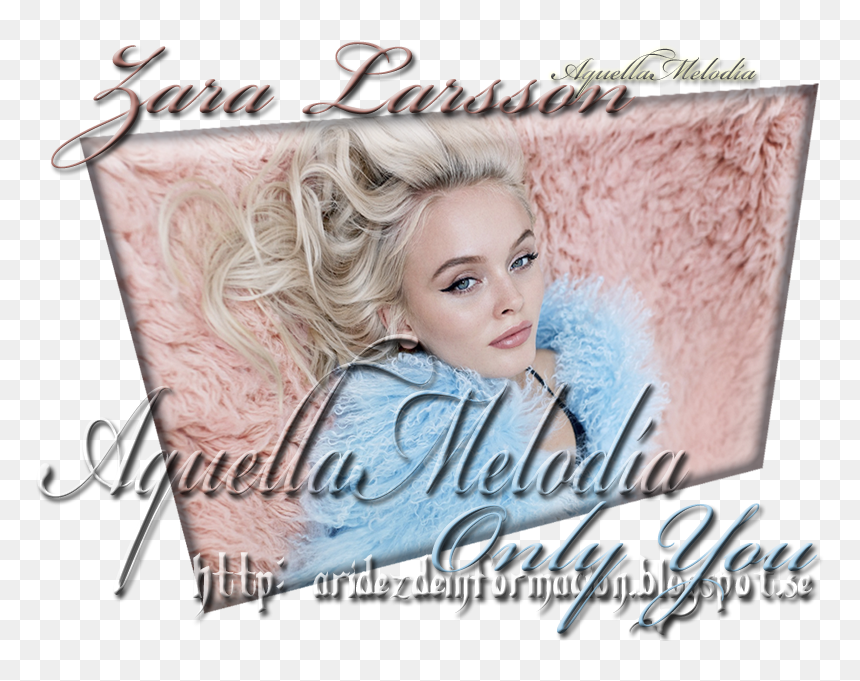Poster, HD Png Download - zara larsson png