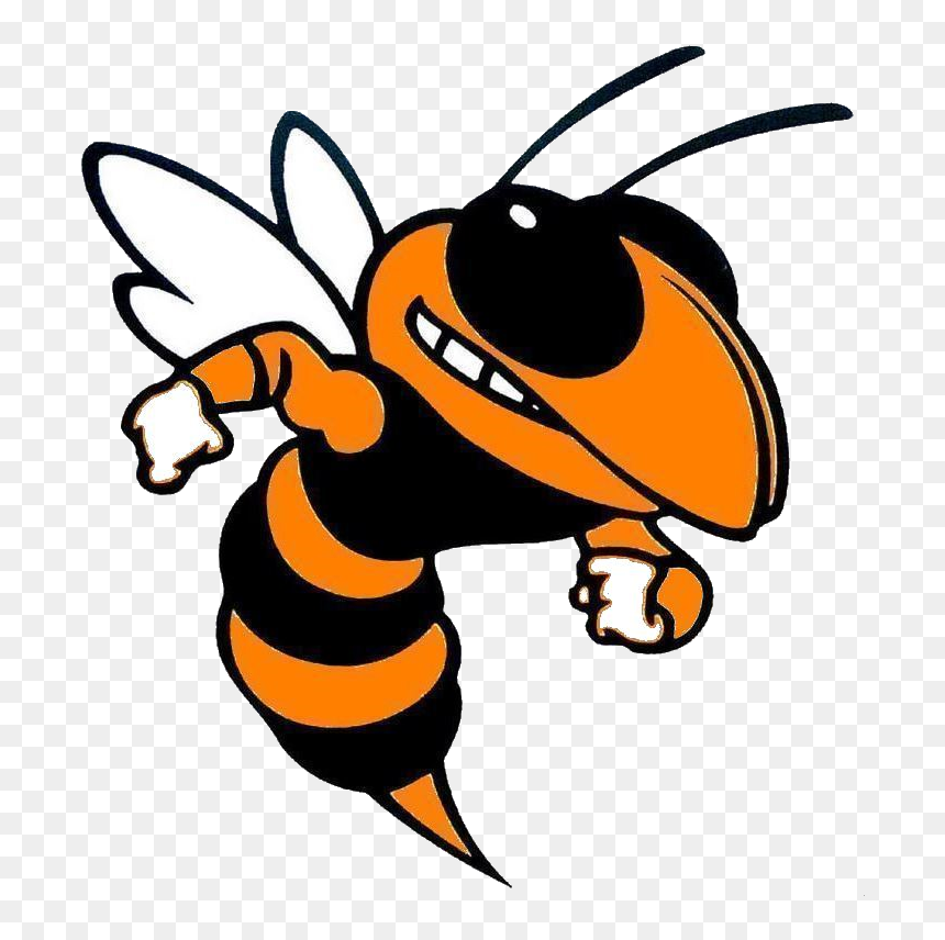 Washington Hornets Swimming Logo - Edcouch Elsa Yellow Jacket, HD Png Download - hornets logo png