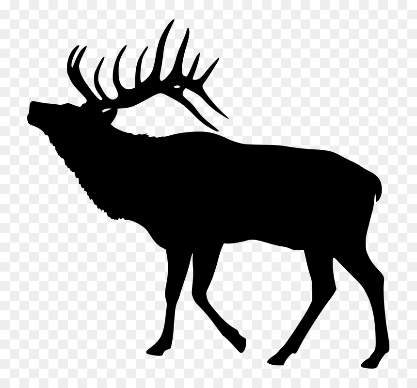 Elk, Deer, Silhouette, Animal, Mammal, Antler, Wildlife - Elk Clipart, HD Png Download - reindeer silhouette png