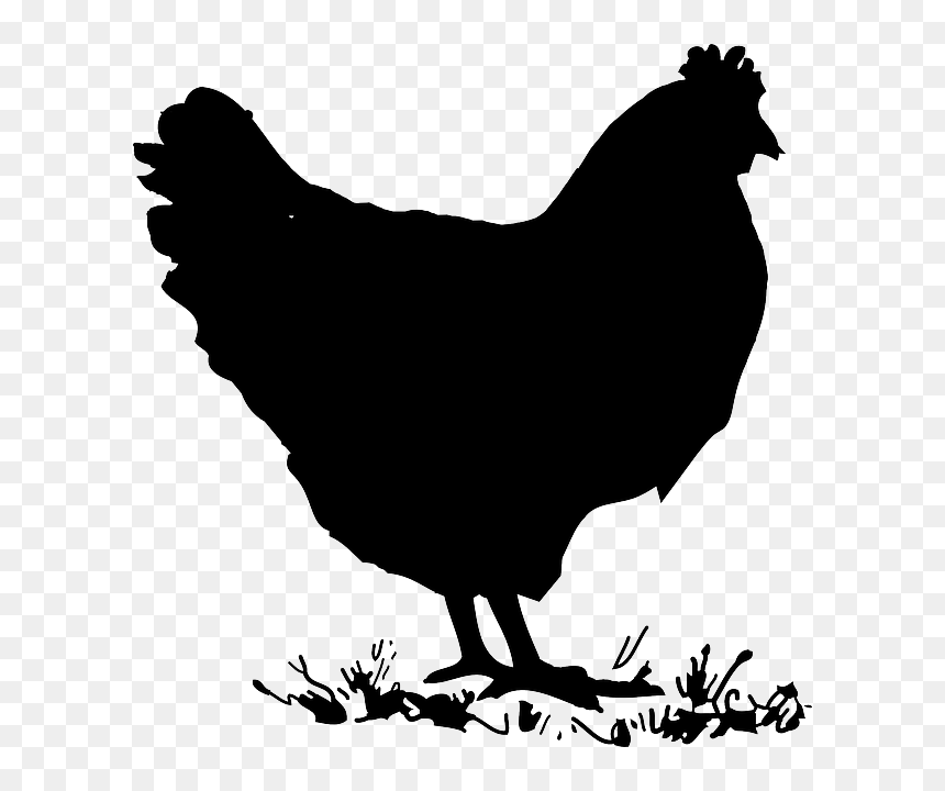 Chicken Clip Art, HD Png Download - rooster silhouette png