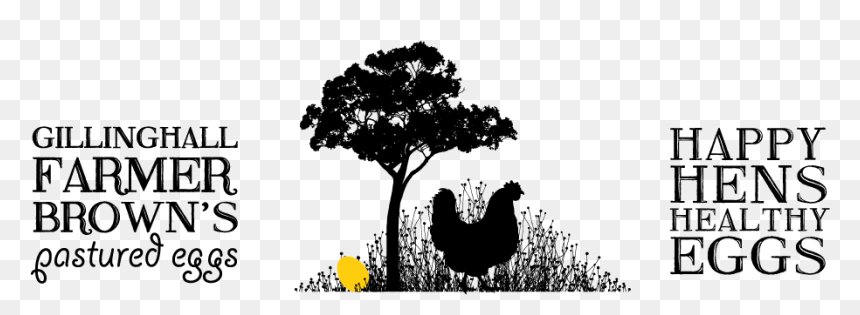 Farmer Brown"s Pastured Eggs - Farmer Brown Eggs, HD Png Download - rooster silhouette png