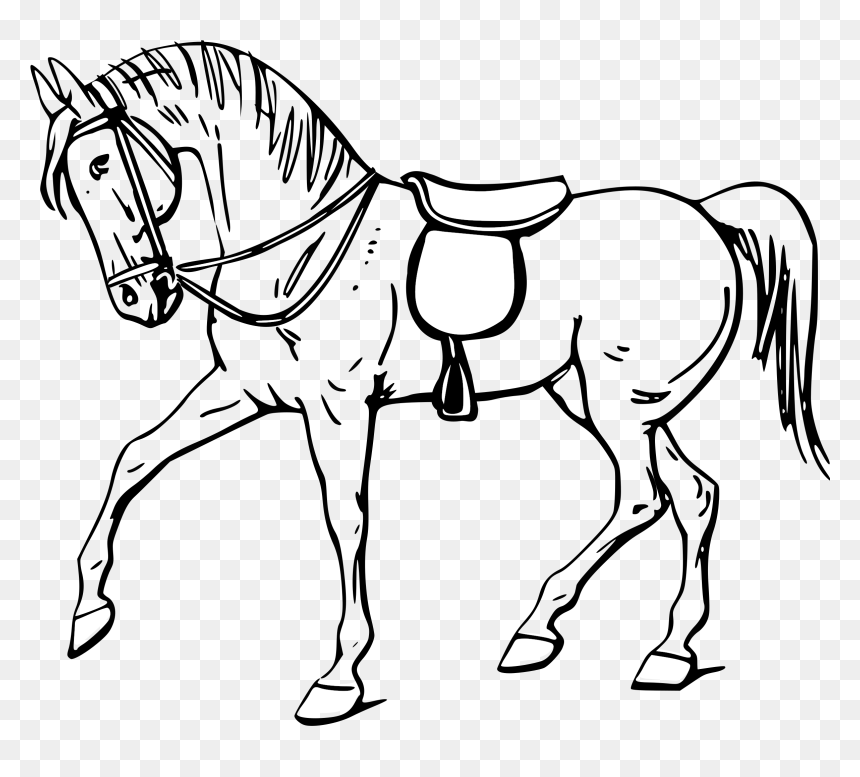 Walking Horse Outline - Outline Pictures Of Horse, HD Png Download - horse face png