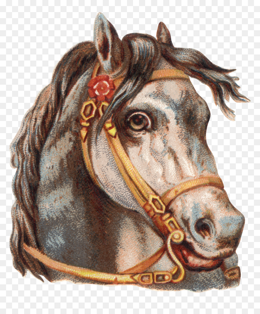 Transparent Horse Face Clipart - Running Horses Png, Png Download - horse face png