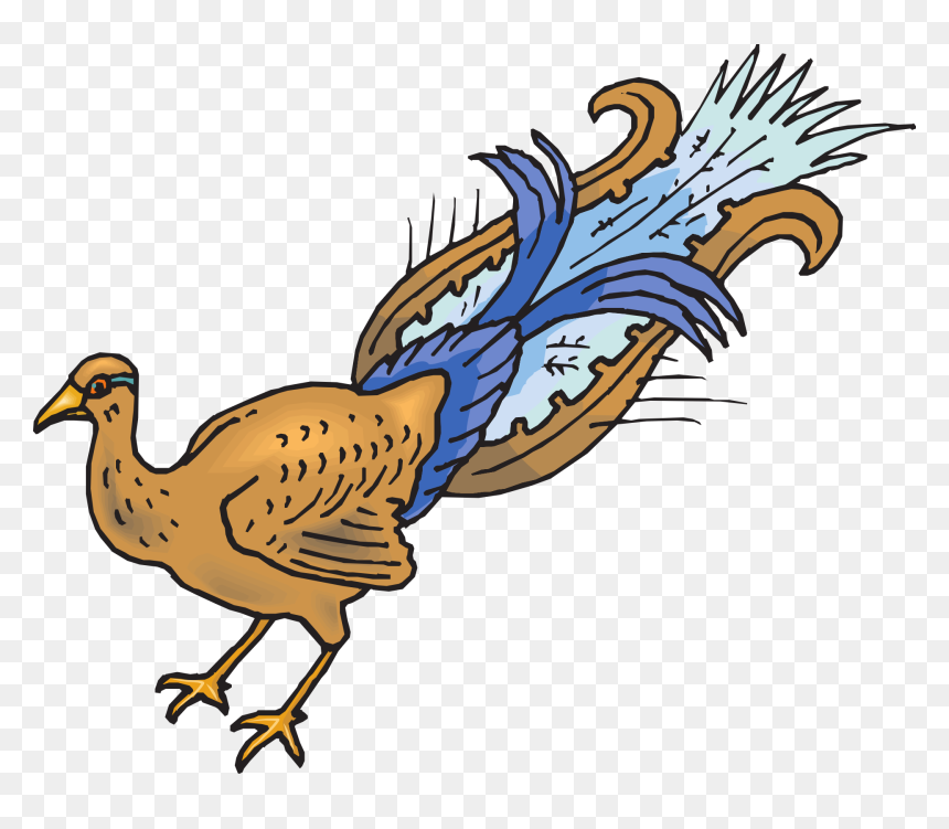 Peafowl, HD Png Download - peacock images hd png