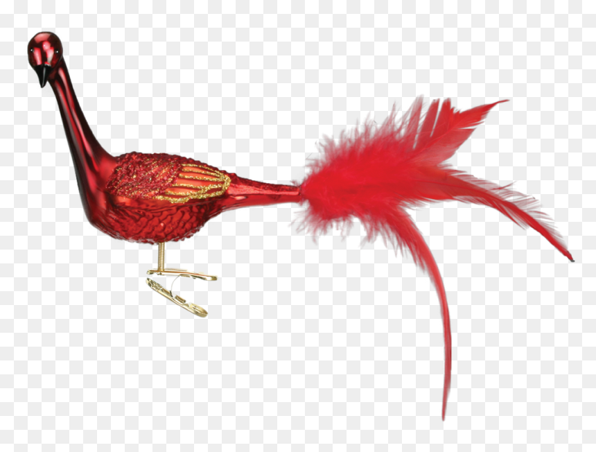 Transparent Peacock Tail Png - Turkey, Png Download - peacock tail png