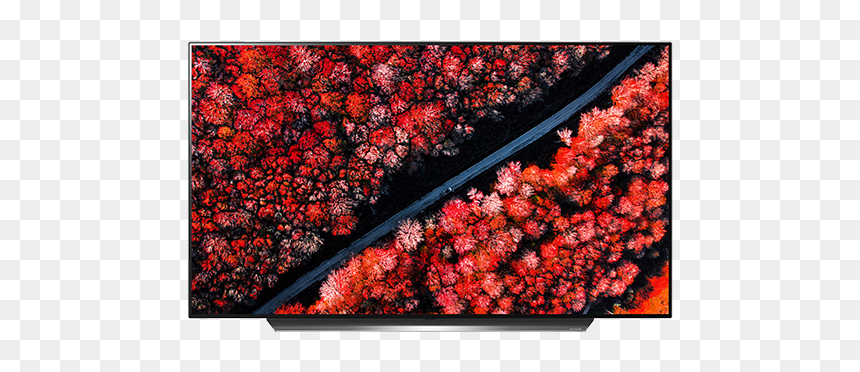 Lg 65 2019 Oled, HD Png Download - lg air conditioner png
