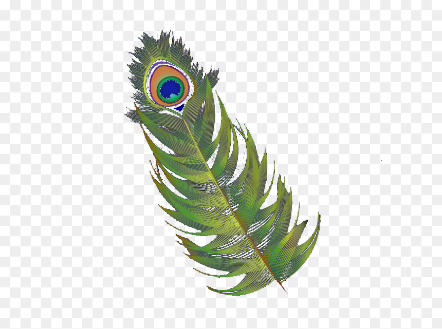 Transparent Feathers Abstract - Peafowl, HD Png Download - peacock tail png