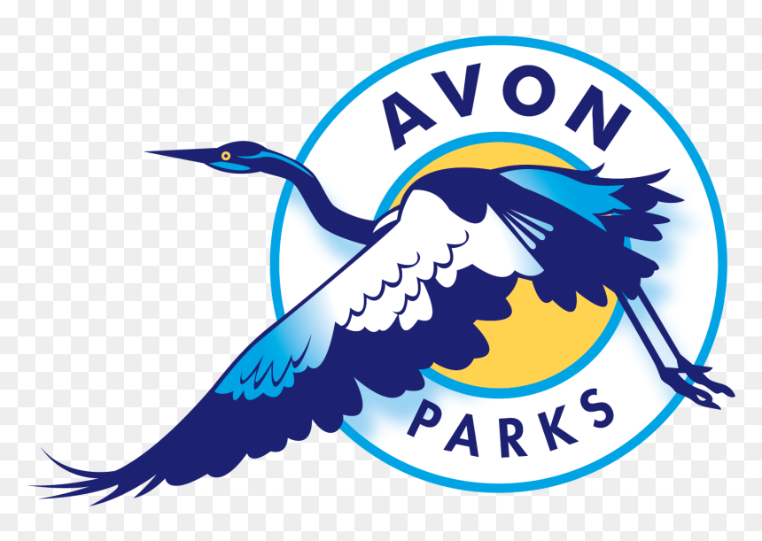 Logo - Graphic Design, HD Png Download - avon png