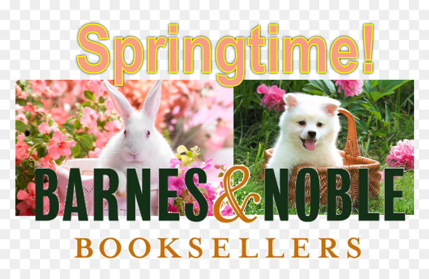 Springtime Storytime At Barnes & Noble - Companion Dog, HD Png Download - barnes and noble png