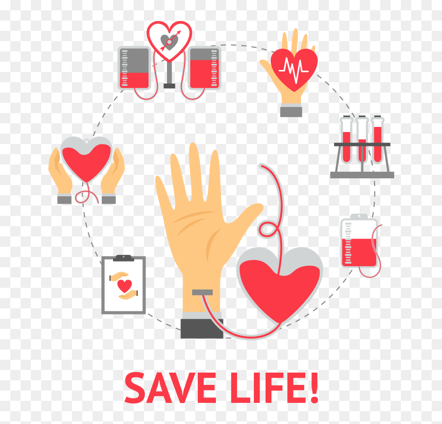 Vector Freeuse Library Organ Web Portal Bowp - Transparent Blood Donation Png, Png Download - donate blood png