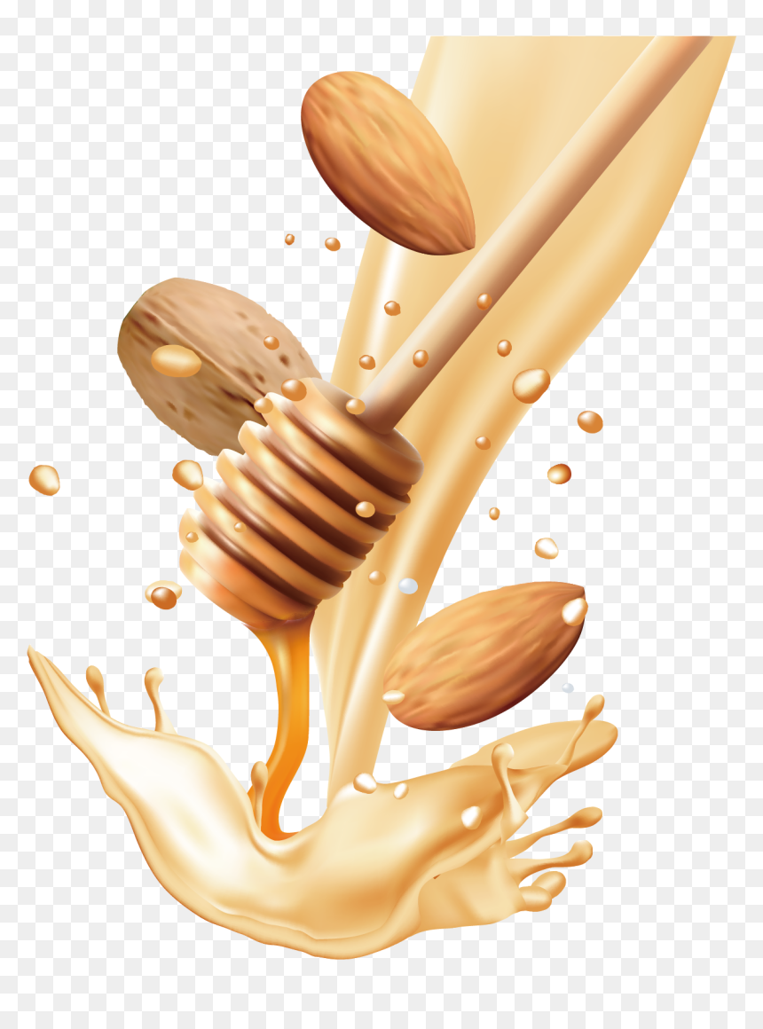 Drink Nut Hand Painted - Nuts And Honey Png, Transparent Png - honey spoon png