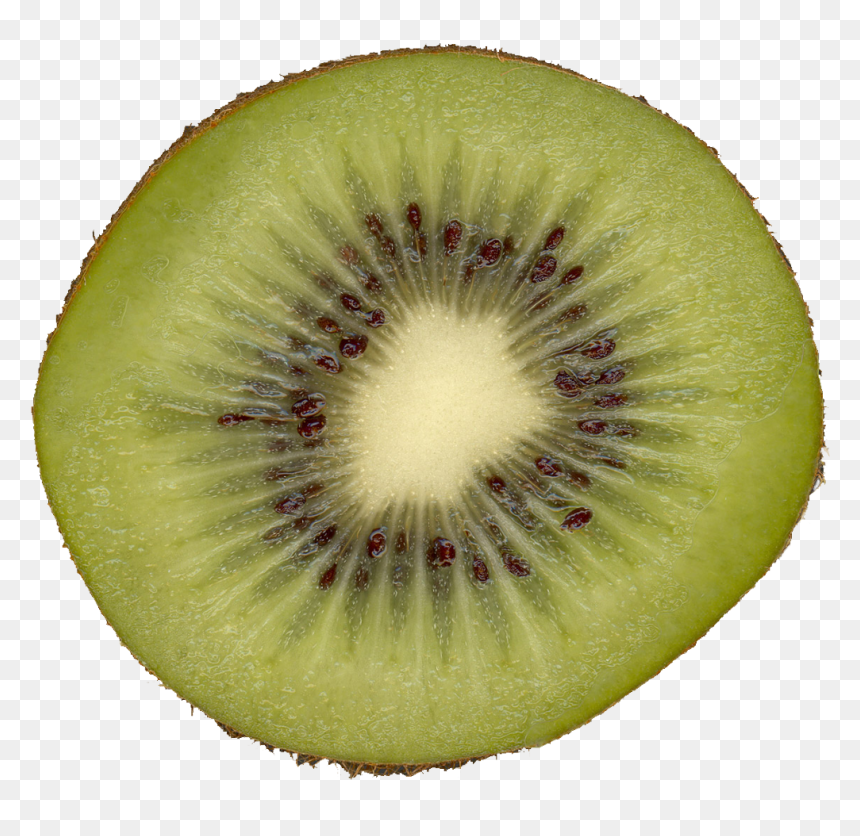 Fruit Cut Open For Maps Qubodup Kiwi Liberated - Kiwi Slice, HD Png Download - kiwi fruit png