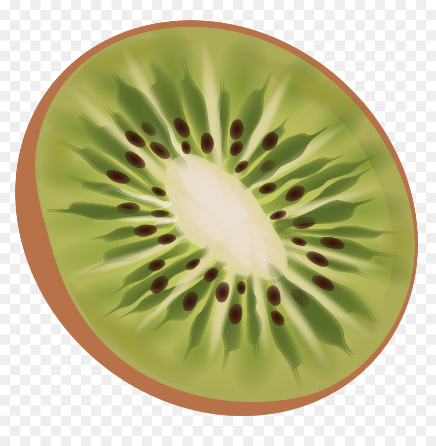 Kiwi Png, Transparent Png - kiwi fruit png