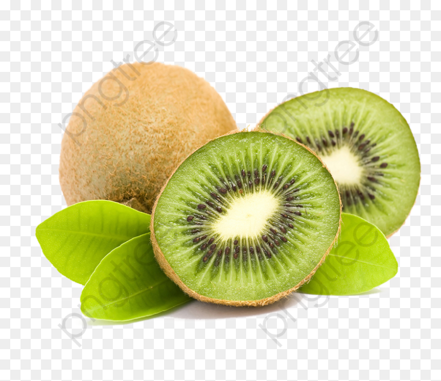 Kiwi Clipart High Resolution - Kiwifruit, HD Png Download - kiwi fruit png