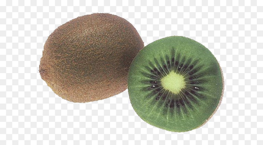 #moodboard #polyvore #png #polyvorepng #food #fruit - Kiwi Dark Green Inside, Transparent Png - kiwi fruit png