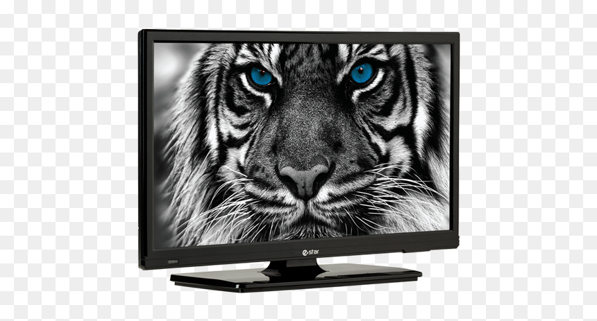 E Star Tv, HD Png Download - led tv icon png