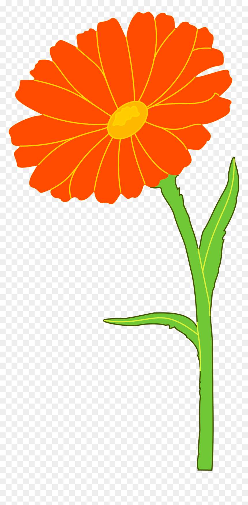 Clip Art Marigold Clip Art - Marigold Clipart, HD Png Download - zendu flower png