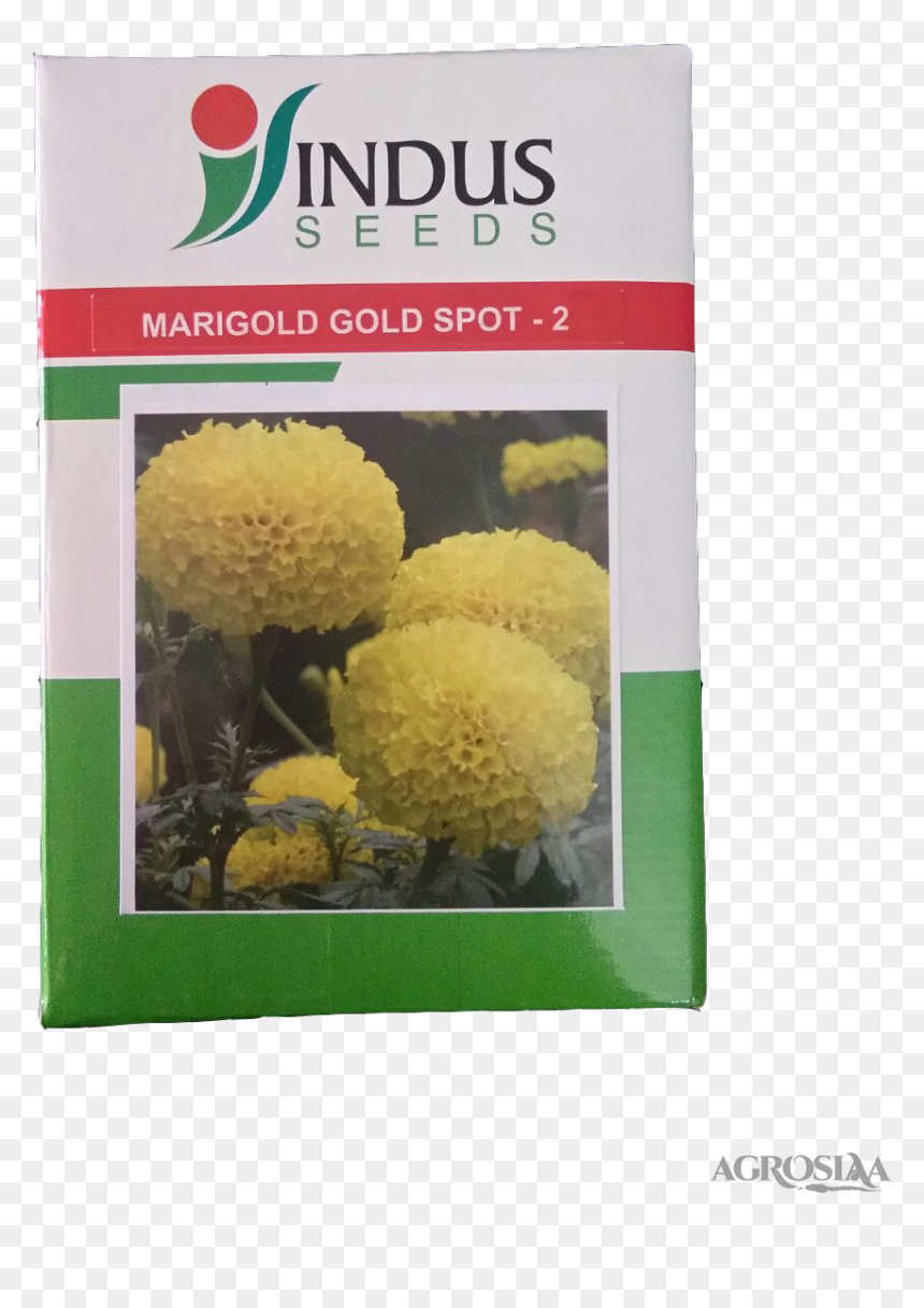 Indus Marigold Seeds, HD Png Download - zendu flower png