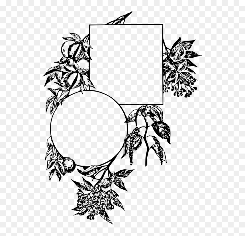 Art,monochrome Photography,artwork - Spices Clipart Png Black And White, Transparent Png - spices clipart png