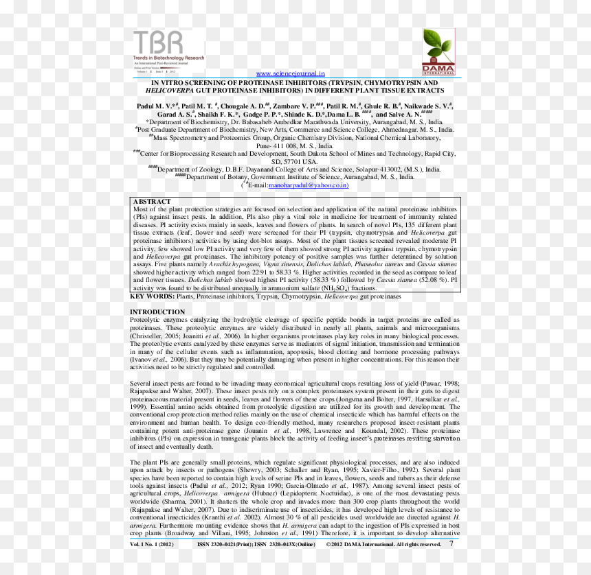 Document, HD Png Download - zendu flower png