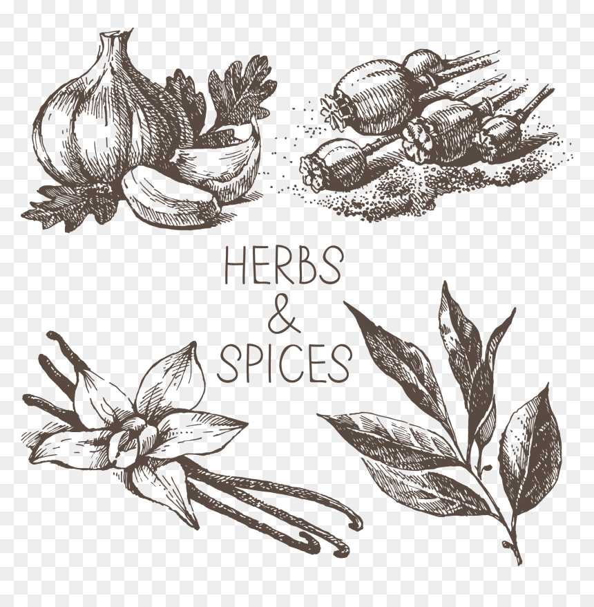 Transparent Spicy Clipart, HD Png Download - spices clipart png