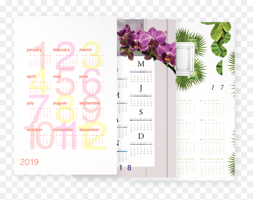 Moth Orchid, HD Png Download - zendu flower png