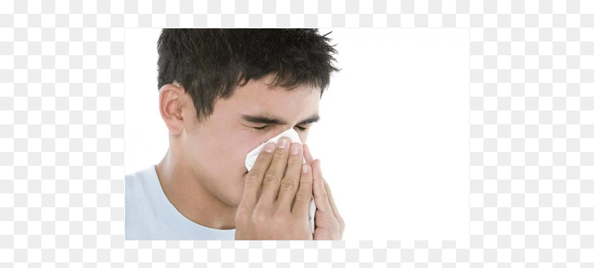 Effect Of Smoking Cigarettes On Immune System, HD Png Download - hairstyle png boy
