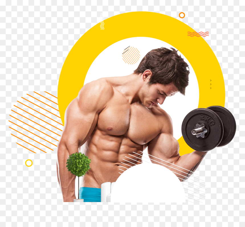Dumbbell Clipart Male Fitness - Bodybuilder Png, Transparent Png - gym png images