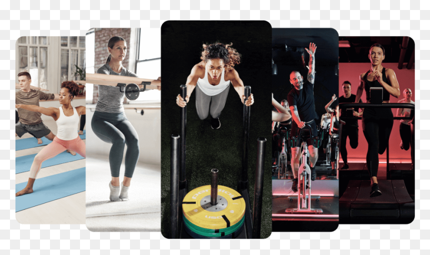 Powerlifting, HD Png Download - gym png images